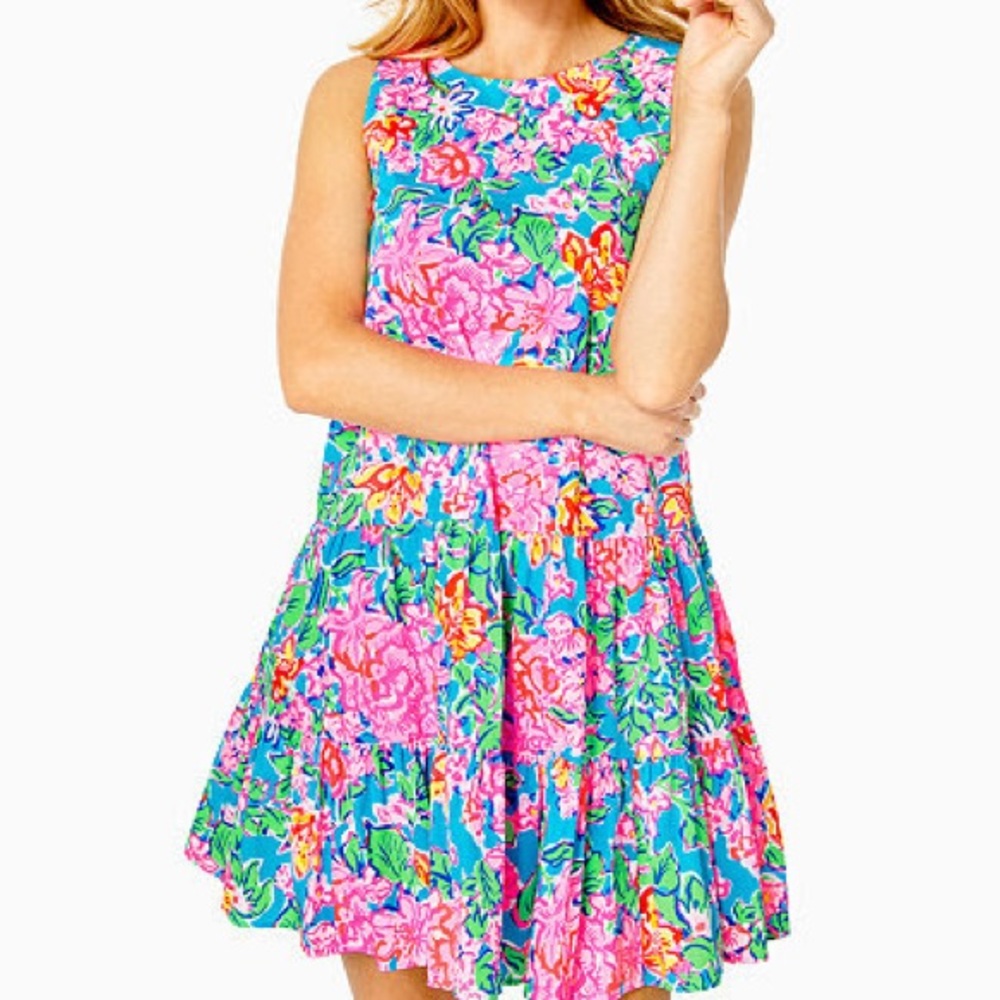 Lilly Pulitzer Trina Swing Dress - M